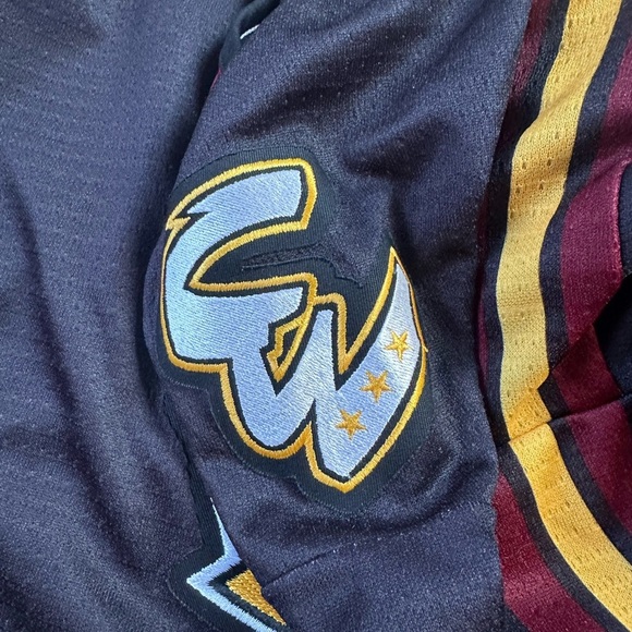 Vintage Chicago Wolves 10th Anniversary Hockey Jersey Medium - Picture 6 of 9